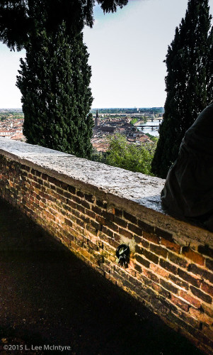 Hilltop Locks of Love, Verona