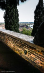Hilltop Locks of Love, Verona