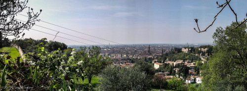 View from a hillside above Verona