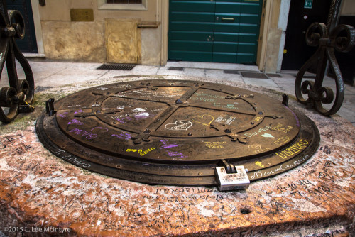 Locked well cover