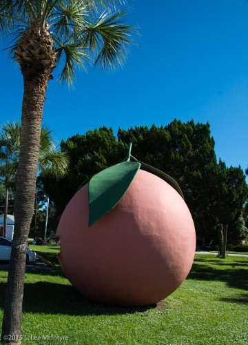  Giant Orange, U.S. Highway 1, Melbourne. Florida