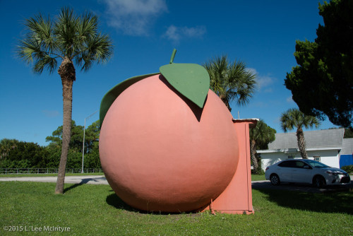 Giant Orange, U.S. Highway 1, Melbourne. Florida