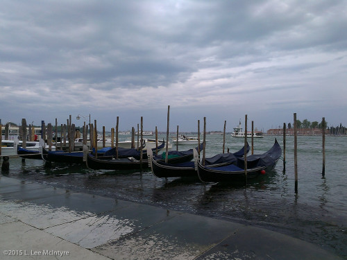 At the Venice LagoonOn the Venice Lagoon, May 2015