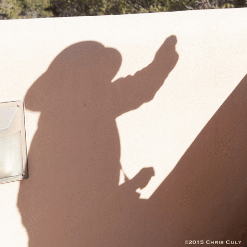 Shadow Dancer