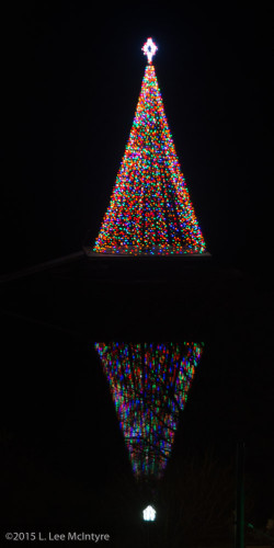 Tree of Lights on Lost Lagoon (branches in tree lighter)