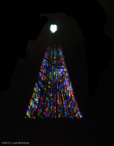 Reflection of Tree of Lights on Lost Lagoon