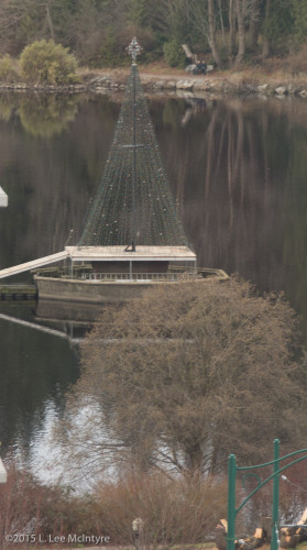 Tree of Lights and Tree in Front, Lost Lagoon