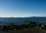 Daytime at English Bay