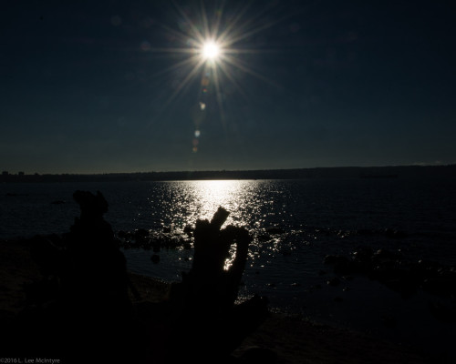 Seawall Silhouette (driftwood 'figure')