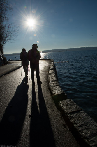 Seawall Silhouettes, Vancouver