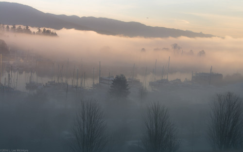 Foggy Harbour, Photo #1