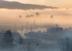 Flying through the Fog, Vancouver