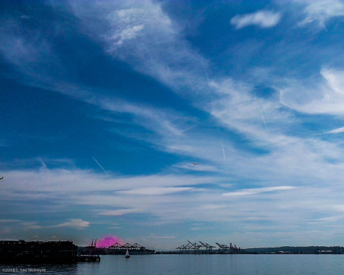 Mt. Rainer from Olympic Sculpture Park - marked in pink