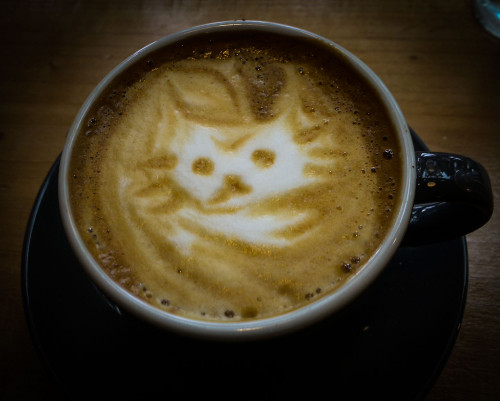 Coffee at the Cat Cafe