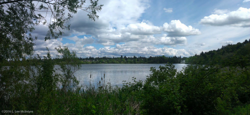 Another Green Lake view
