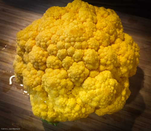 Golden head of broccoli/cauliflower