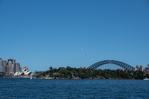 Sydney Harbour by Day